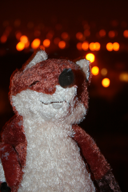 Mr Fox